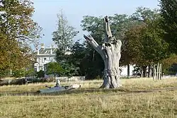 arbre mort dans un parc avec, à demi cachée, une grande bâtisse