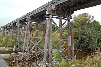 Paroa (Nouvelle-Zélande)