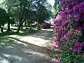 Chemin à travers le parc Solari.