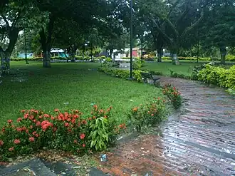 Puerto Rondón