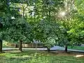Parc Pasarón