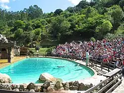 Bassin des otaries.