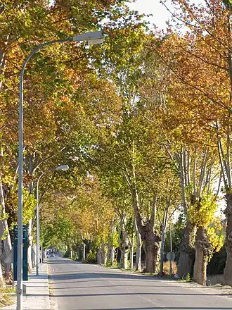 Fuente Vaqueros