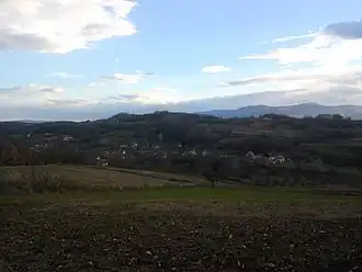 Pasjak (Kruševac)