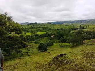 Bom Jardim (Rio de Janeiro)