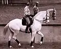 Patrick Le Rolland, piaffer devant miroir sur le cheval Galapagos (German Classic) - Court Saint-Étienne 1997