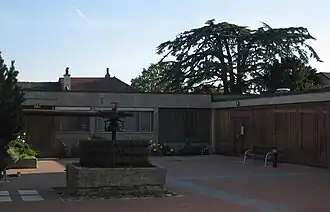 Paudex
