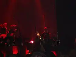Description de l'image Paul Heaton w mic Beautiful South concert.jpg.