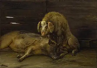 Deux cochons dans une porcherie (1649), Musée des beaux-arts de Houston, Houston, Texas.