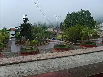 Pauna