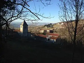 Pavezin