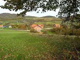 Pavići