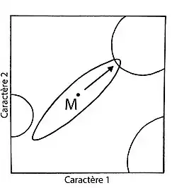 Lithobiomorpha