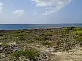 Paysage de la pointe d'Antigues.