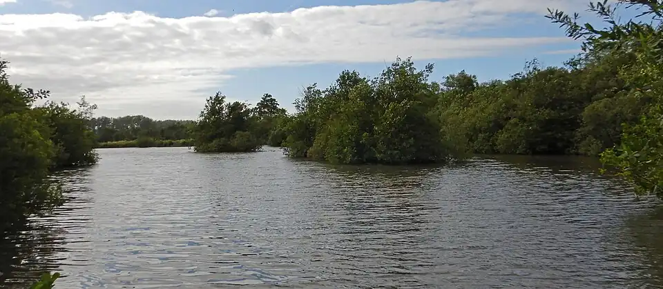 L'étang de Brimeux.