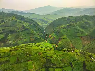 Masisi (territoire)