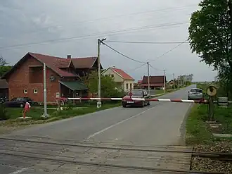 Pčelić