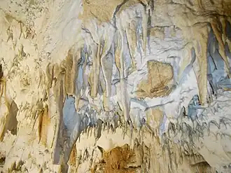 Ceremošnja