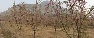 Xian de Shunping