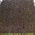Le Poirier de Gustav Klimt (1903)..