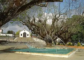 Pedrógão Grande
