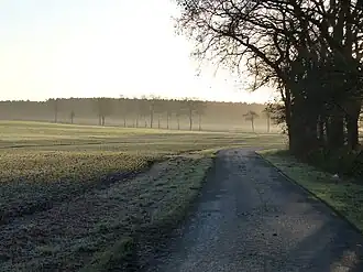 Peissen