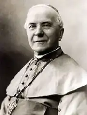 Image illustrative de l’article Józef Sebastian Pelczar