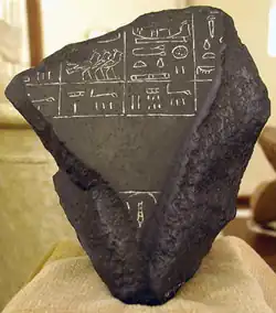 Recto du fragment de Londres - Musée Petrie d'archéologie égyptienne