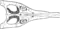 Diagramme d'un crâne de Peloneustes.