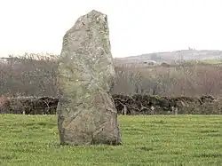 Image illustrative de l’article Menhir de Llanrhwydrys