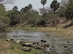 La Pendjari, entre le Burkina Faso et le Bénin