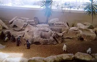 Penguin Point