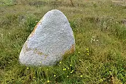 Menhir de Toul Gwin