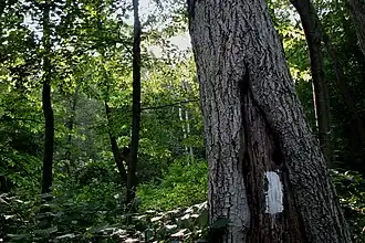 Repère typique blanc en Pennsylvanie