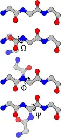 Figure 4 : Angle dièdre de l'ossature d'une protéine