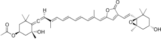 Image illustrative de l’article Péridinine