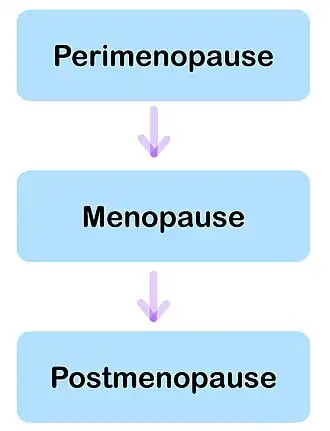 Description de l'image Perimenopause.jpg.