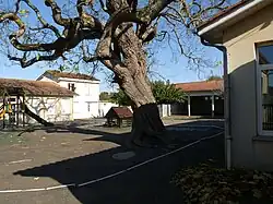 L'école.