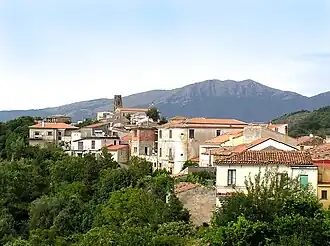 Perito