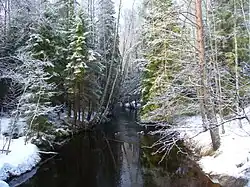 Leipäsuo.