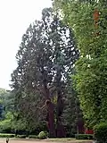 Dans le parc du château de Ravignan