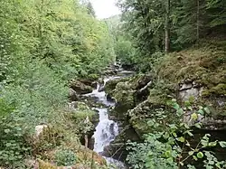 Gorges