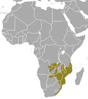 Description de l'image Peters's Epauletted Fruit Bat area.png.