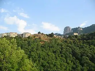 Petina