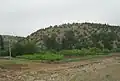 Minuscule plantation de poiriers à Souk-n-Ouzdir