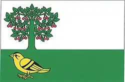 Drapeau de Petkovy