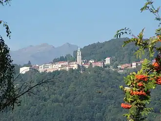 Pettinengo