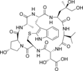 Phallacidine