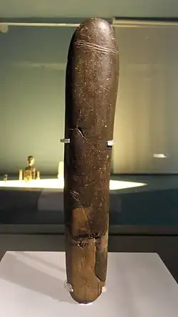 Phallus poli.
