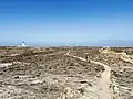 Phare de l'île Berlenga Grande (2022)